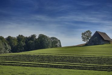 Виды строительно-технических экспертиз